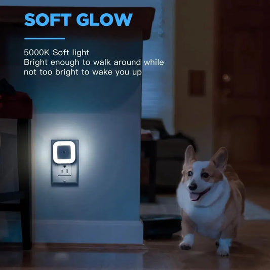 Intelligent LED Night Light | Auto On/Off Sensor