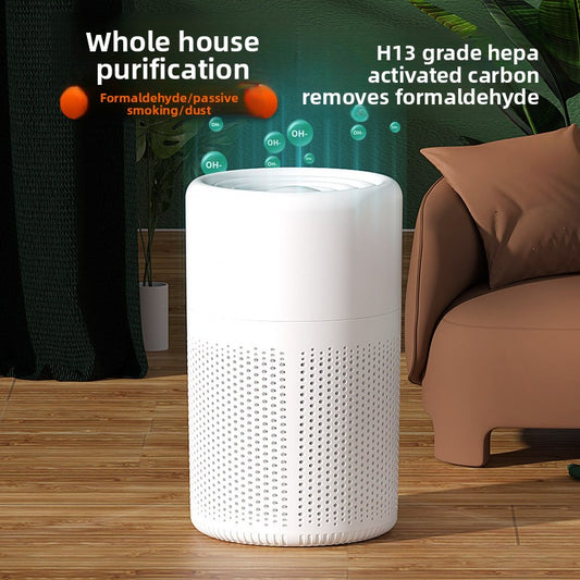 Portable Desktop Air Purifier with HEPA Filter