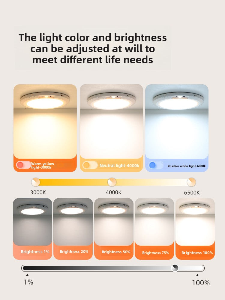 Rechargeable Motion Sensor Ceiling Light with Remote