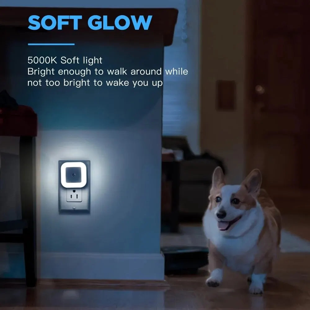 Intelligent LED Night Light | Auto On/Off Sensor